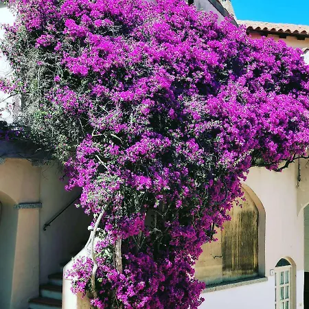 Bed & Breakfast A Due Passi Olbia